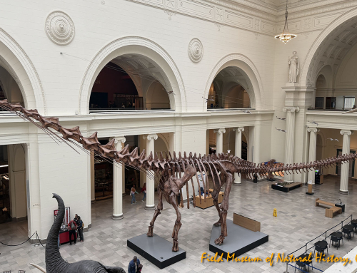 Chicago – Field Museum