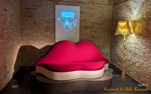 04-PXL 20240710 105111569