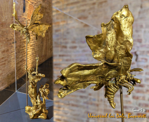 PXL 20240710 104923407