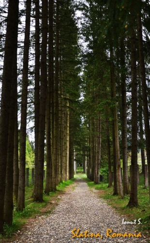 43231346 2701352756755787 8982057439608176640 n