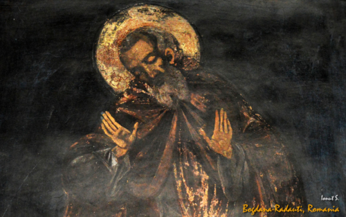 Bogdana Rădăuți 2015 (3)