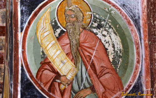 Bălinești 2015 (5)