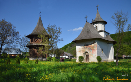 Pătrăuți 2015 (3)