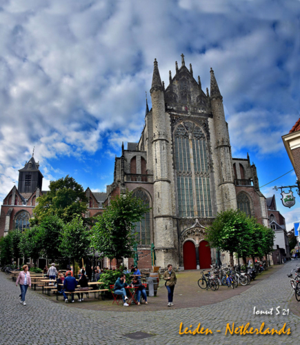 DSC 0430 panorama (1)