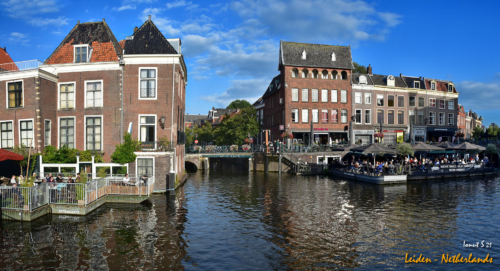 DSC 0454 panorama (1)