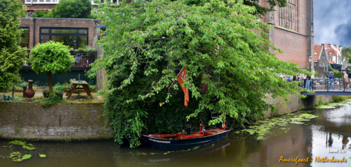 DSC 0878 panorama (1)