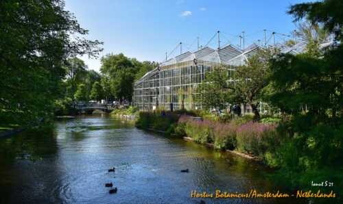 Hortus Botanicus