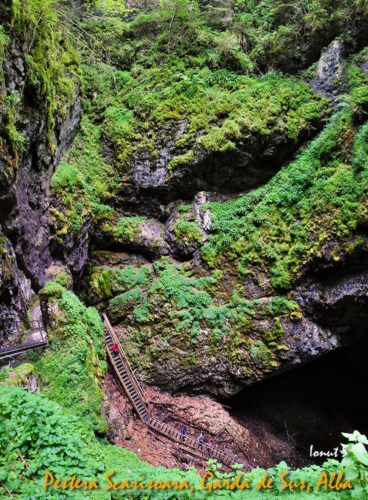 42591586 332138807561215 1580032487248101376 n