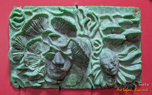 PXL 20250503 113247001