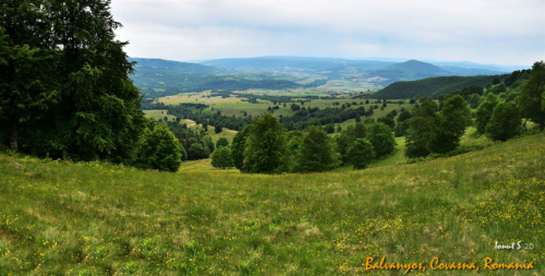 DSC 6010 panorama (1)