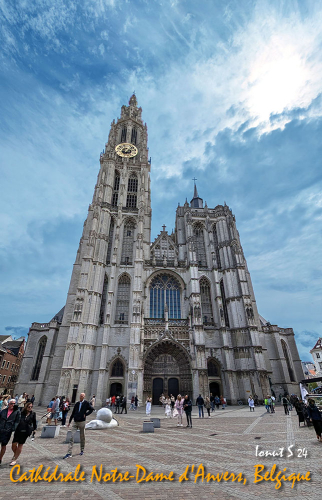 PXL 20240706 104420232.MP 