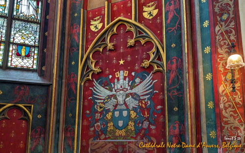 PXL 20240706 110801377.MP 