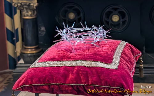 PXL 20240706 111031107.PORTRAIT