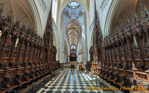 PXL 20240706 111522886.MP 