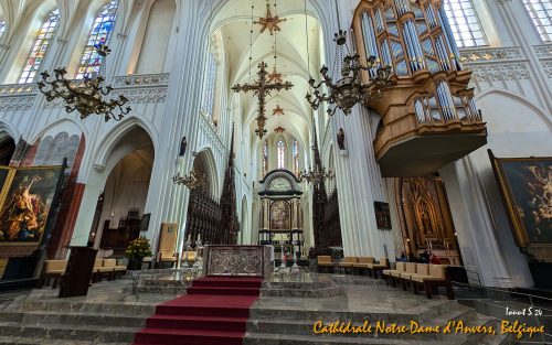 PXL 20240706 112003119.MP 