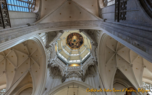 PXL 20240706 112019272.MP 