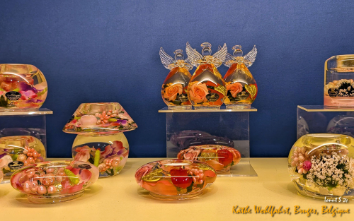 PXL 20240704 101928456.NIGHT 