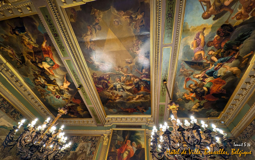 PXL 20240701 115318172