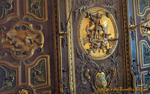 PXL 20240701 120336588.MP 