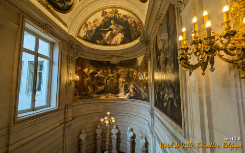 PXL 20240701 121120739.MP 