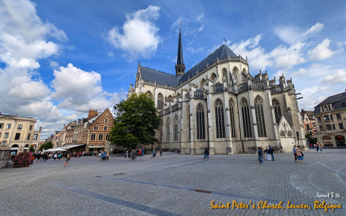 PXL 20240707 090152331