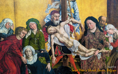 PXL 20240707 091705781.MP 