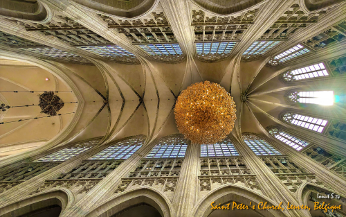 PXL 20240707 091826385