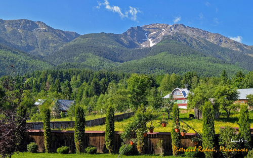 PXL 20250608 055901924.MP2 