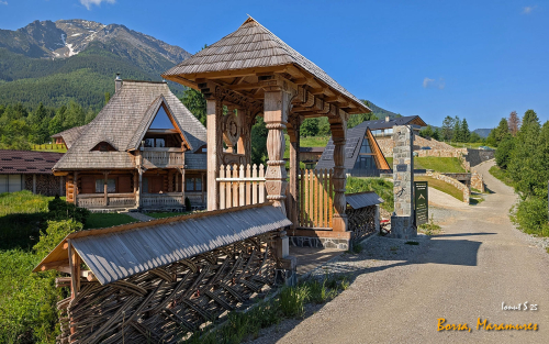 PXL 20250608 061232978