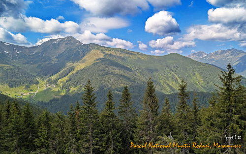 PXL 20250608 073808581.MP 