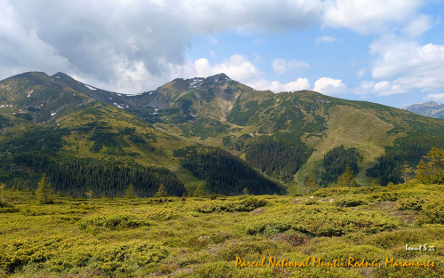 PXL 20250608 084419092.MP 