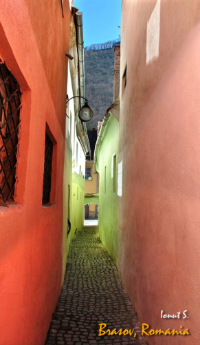 Brasov 2012 (45)
