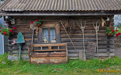 PXL 20250508 120423569