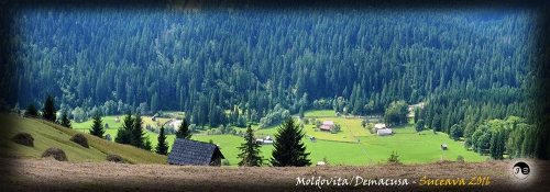 Bucovina (11)
