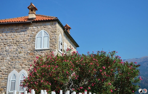 Budva, Rafailovici (1)