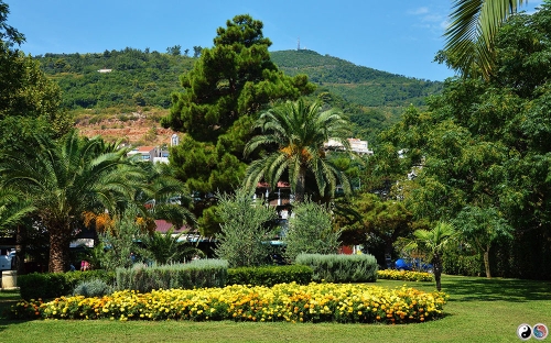 Budva, Rafailovici (5)