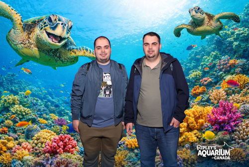 IMG 4571