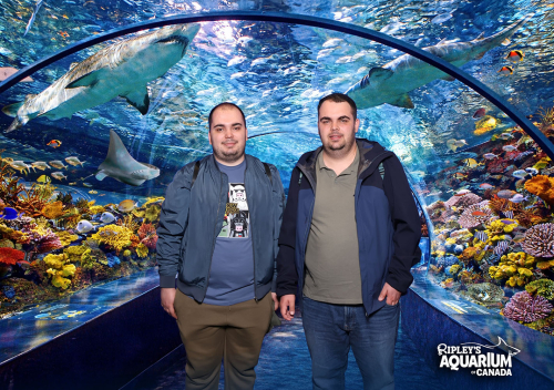 IMG 4576