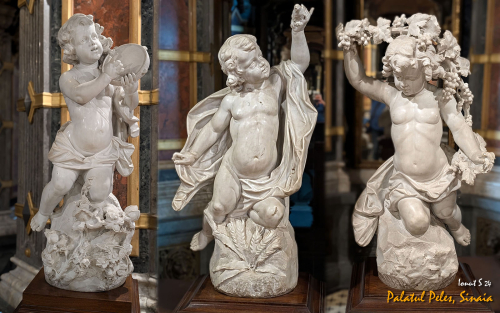 PXL 20240629 072704223.PORTRAIT