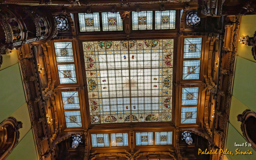 PXL 20240629 072840541