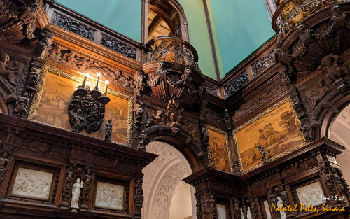 PXL 20240629 072939098.MP 