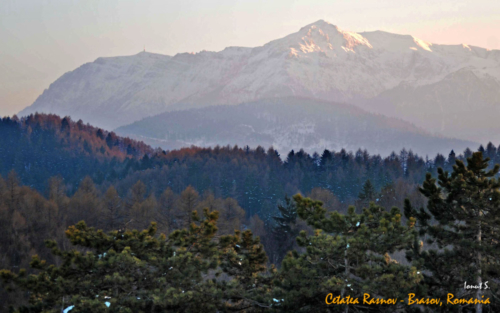 RASNOV CETATEA (13)a