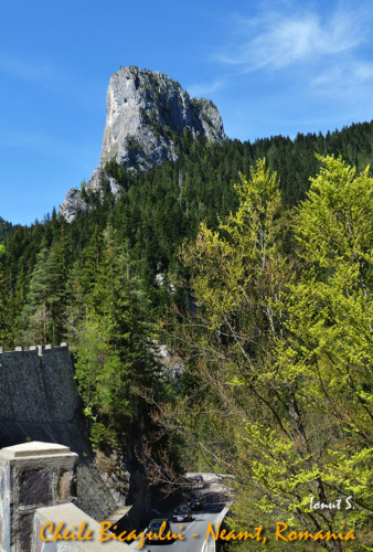 Cheile Bicazului (17)