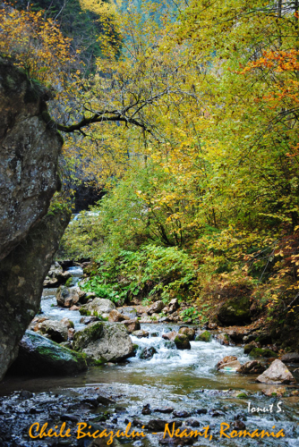 Cheile Bicazului (2)