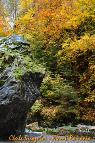 Cheile Bicazului (25)