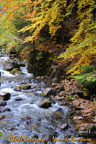 Cheile Bicazului (4)