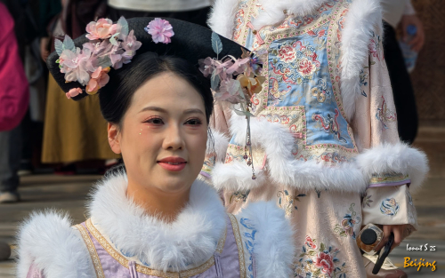 Chipurile-Beijingului-10