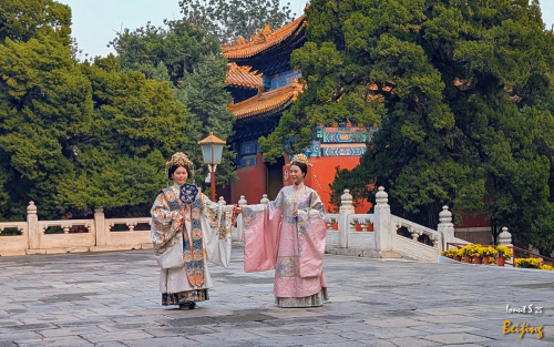 Chipurile-Beijingului-12