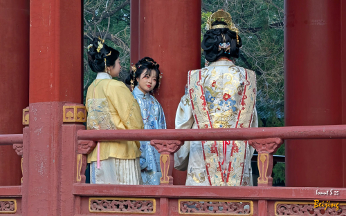 Chipurile-Beijingului-14