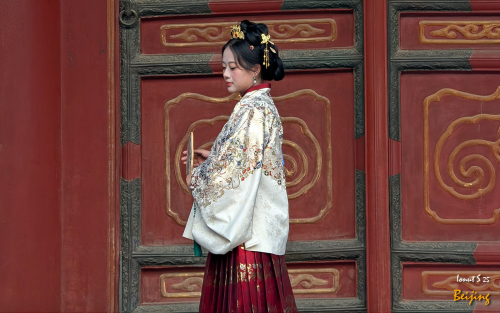 Chipurile-Beijingului-15